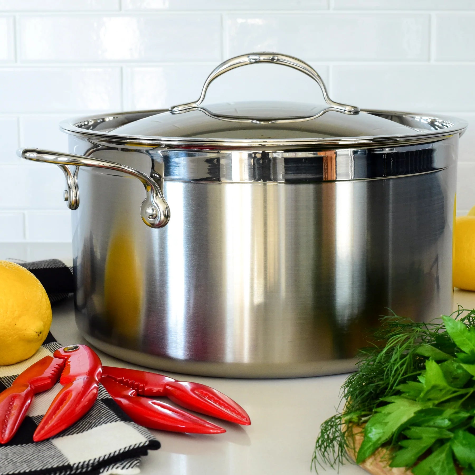 ProBond Covered Stock Pot | 8 Quart