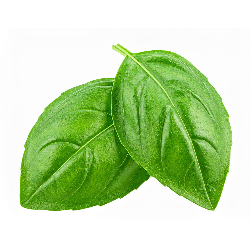 Basil Olive Oil