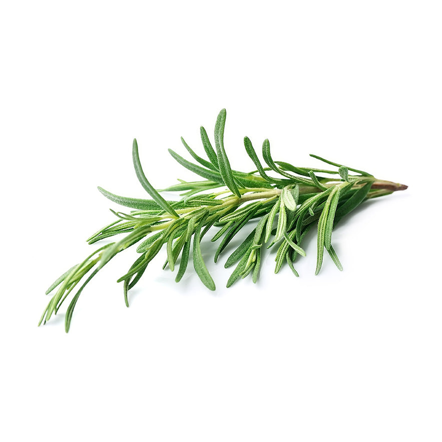 Rosemary Olive Oil