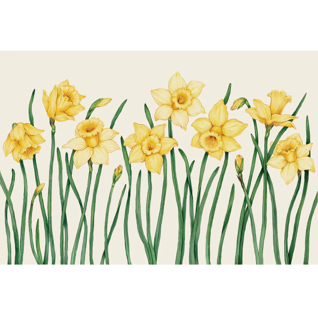 Hester & Cook Field of Daffodils Paper Placemats | Set of 12 Spring Floral Mats