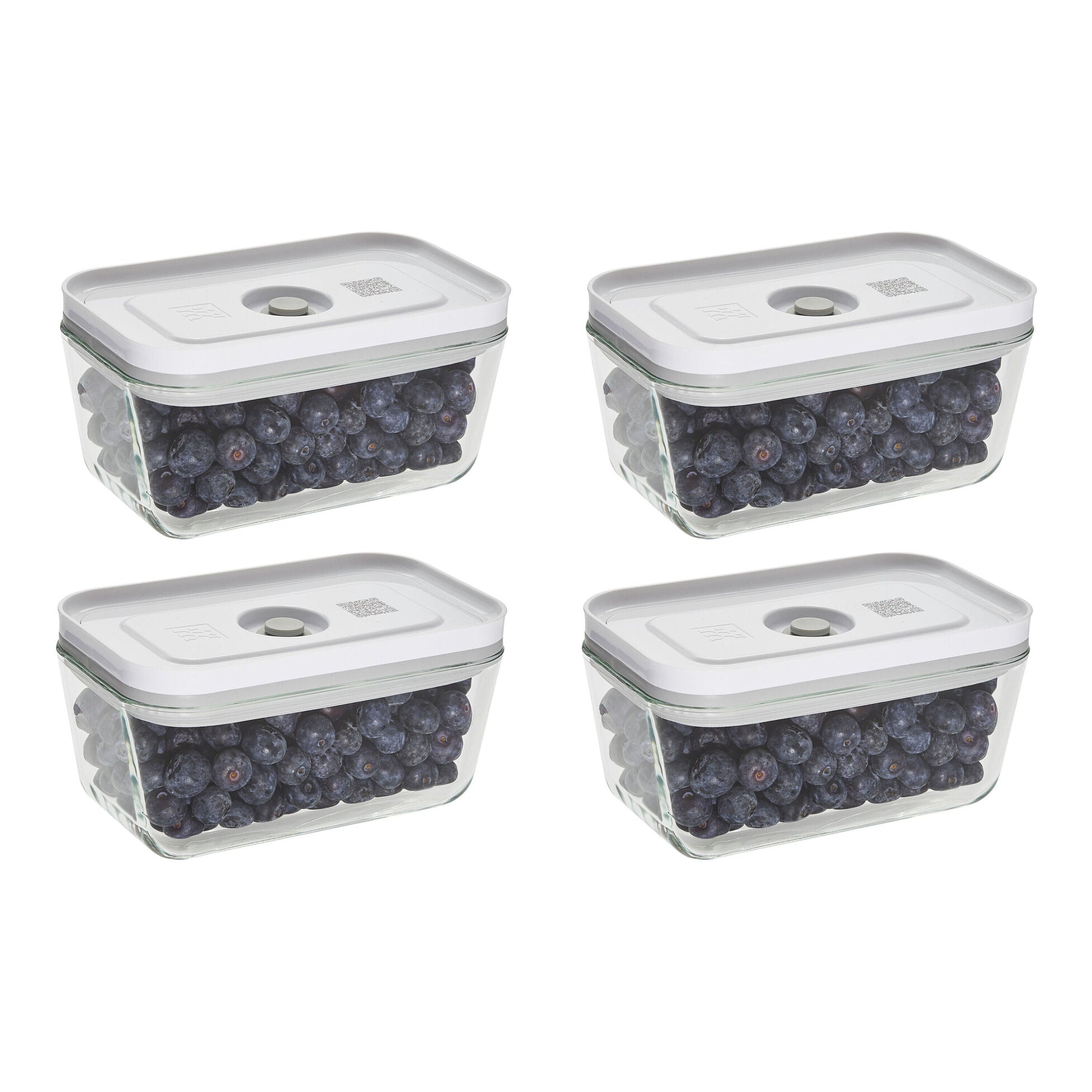 Fresh & Save Vacuum Box Set of 4 | Glass Grey