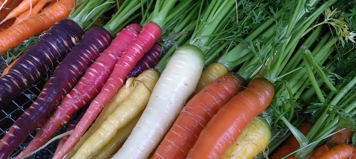 9/9 -From Garden to Table : Carrot Cuisine , from Soup To Sweets