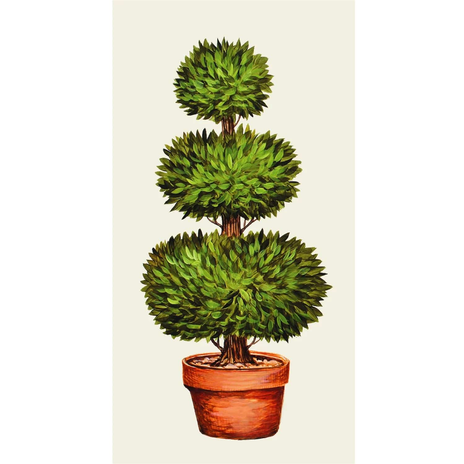 Hester & Cook Topiary Guest Napkins | 16 Count Artist Series Paper Guest Towels