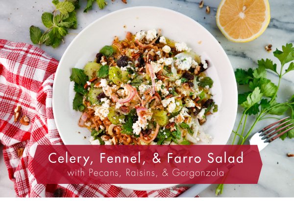 Newsletter Recipes - Celery, Fennel, & Farro Salad with Pecans, Raisins, & Gorgonzola