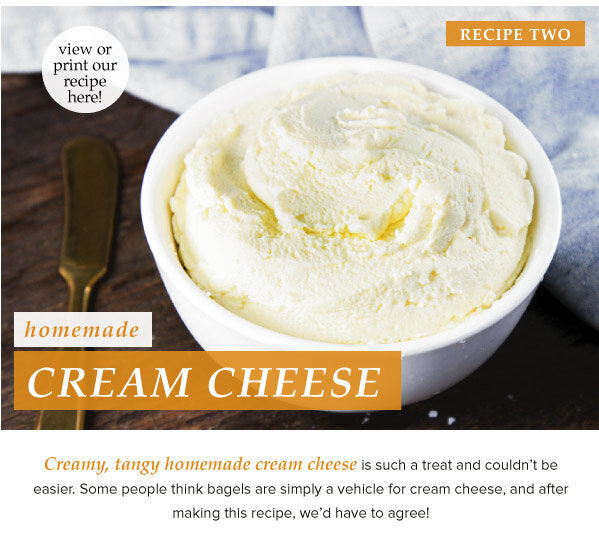 Newsletter Recipes - Homemade Cream Cheese