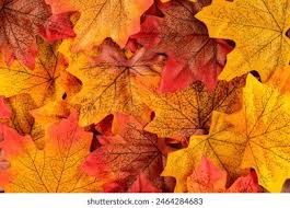 Fall/ Thanksgiving