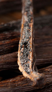 Blue Cattle Truck Whole Mexican Vanilla Beans | 12 Count