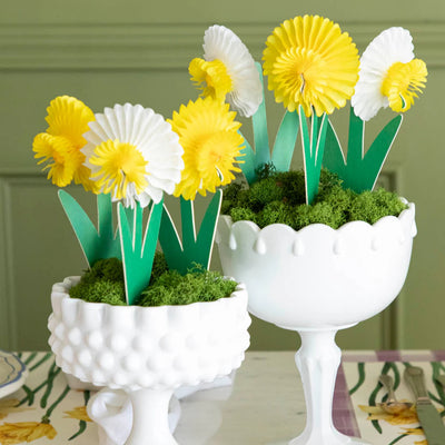 Hester & Cook Honeycomb Small Daffodils | Set of 3 3D Paper Spring Decorations