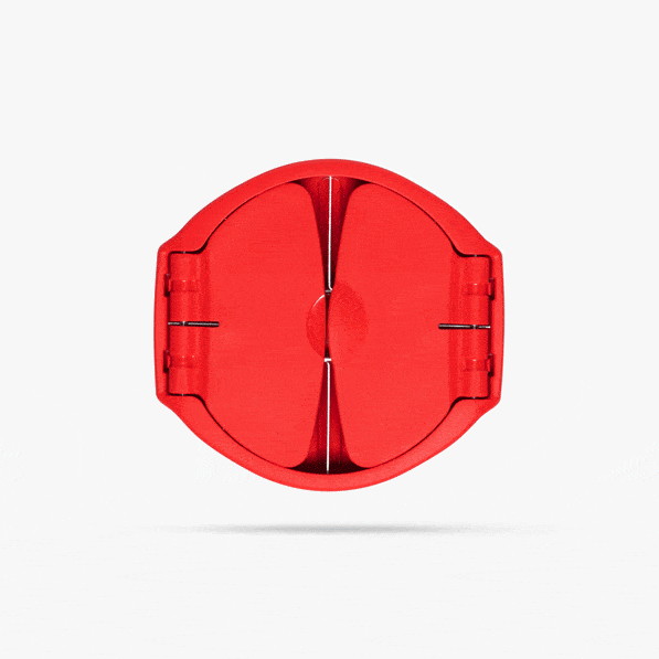 Dreamfarm Flapple | Fold-Flat Apple Slicer & Corer