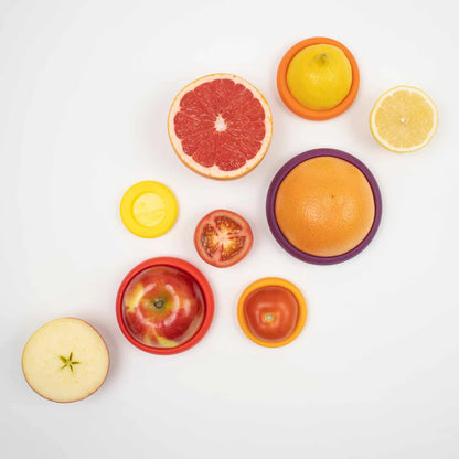 Food Huggers Silicone Food Saver | Set of 5 | Autumn Harvest