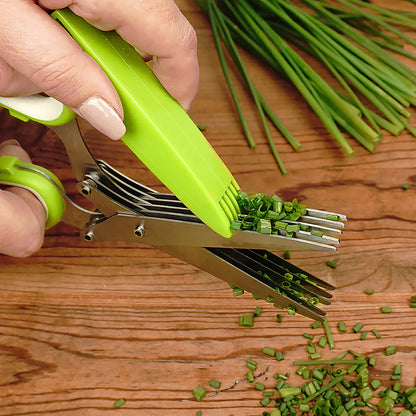 Herb Scissors | Shears