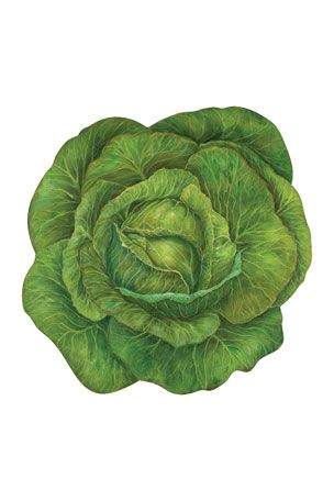 Hester & Cook Die-Cut Cabbage Paper Placemats| Set of 12 Garden-Themed Mats