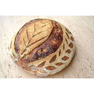 Mrs. Anderson’s Baking Artisan Bread Lame with 15 Blades