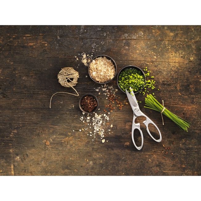 Twin Select Kitchen Shears