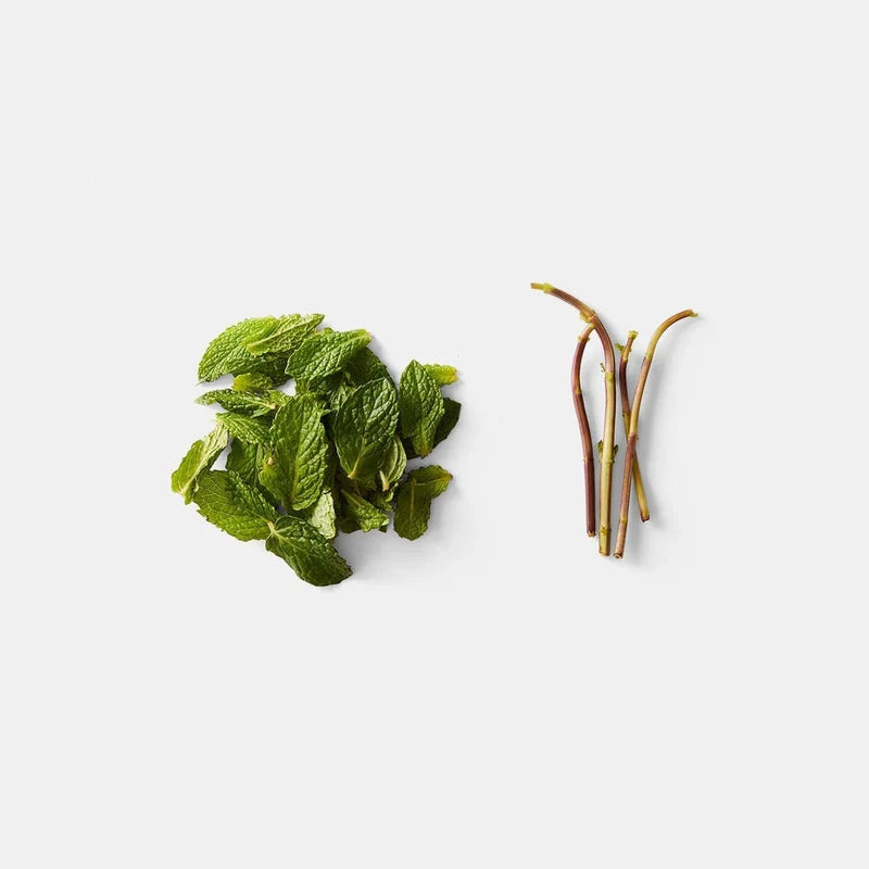 Chef'n Looseleaf™ Plus Kale & Herb Stripper with Built-In Shears