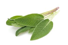 Sage Natural Flavor Infused Olive Oil