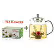 Glass Teapot & 12 Individual Blooming Tea Gift Set