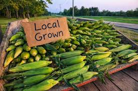 8/18 - Corn Crazy !  Three Fresh Ways to Enjoy Farmers Market Corn